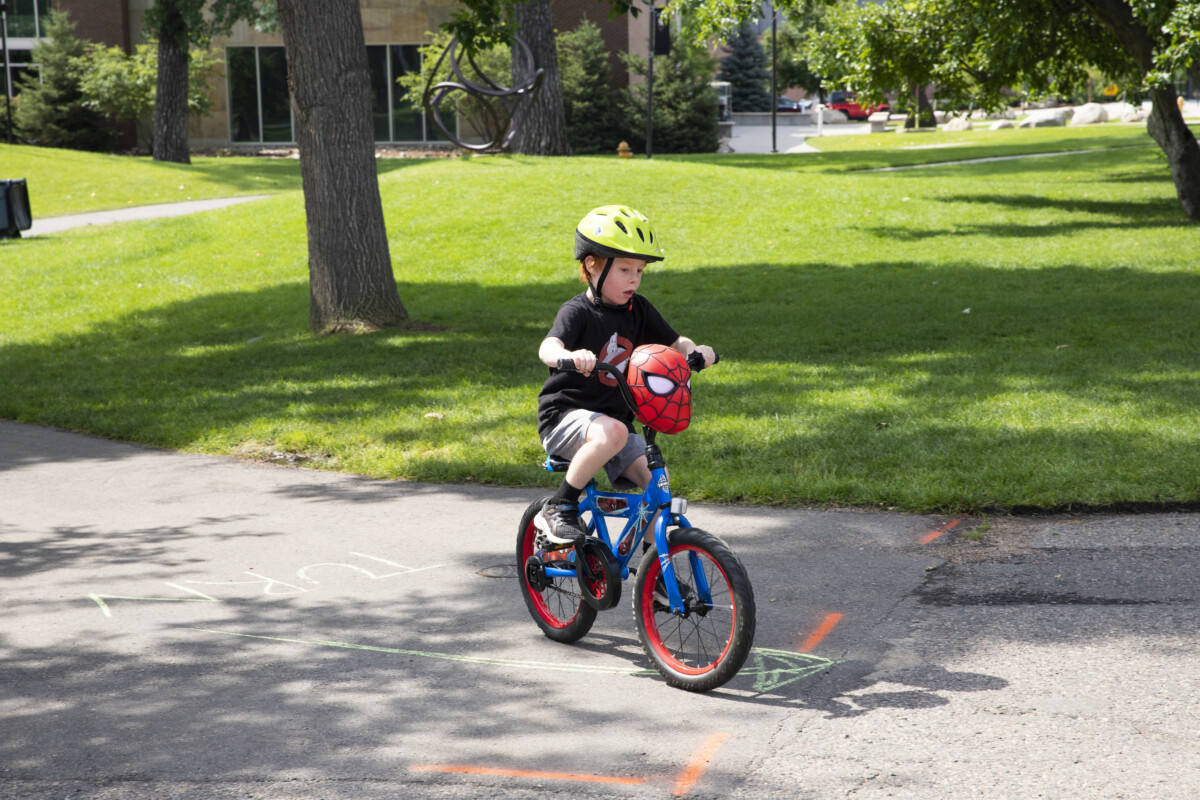 Fabric Horse, Sidekick Utility Belt - Bicycling, Production, Dog walking  and more!